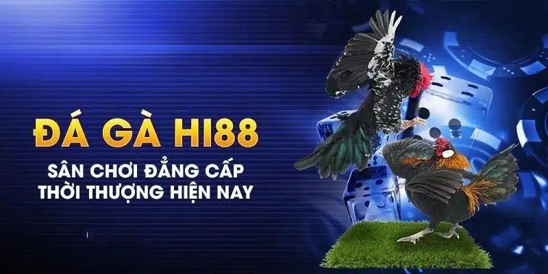 Loi Ich Cua Viec Tham Gia Da Ga Hi88